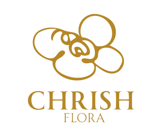 chrish_logo-removebg-preview